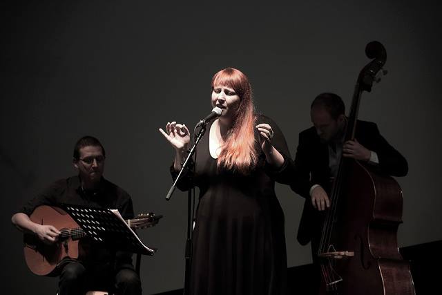 Orchestre de variété mariage, anniversaire de mariage